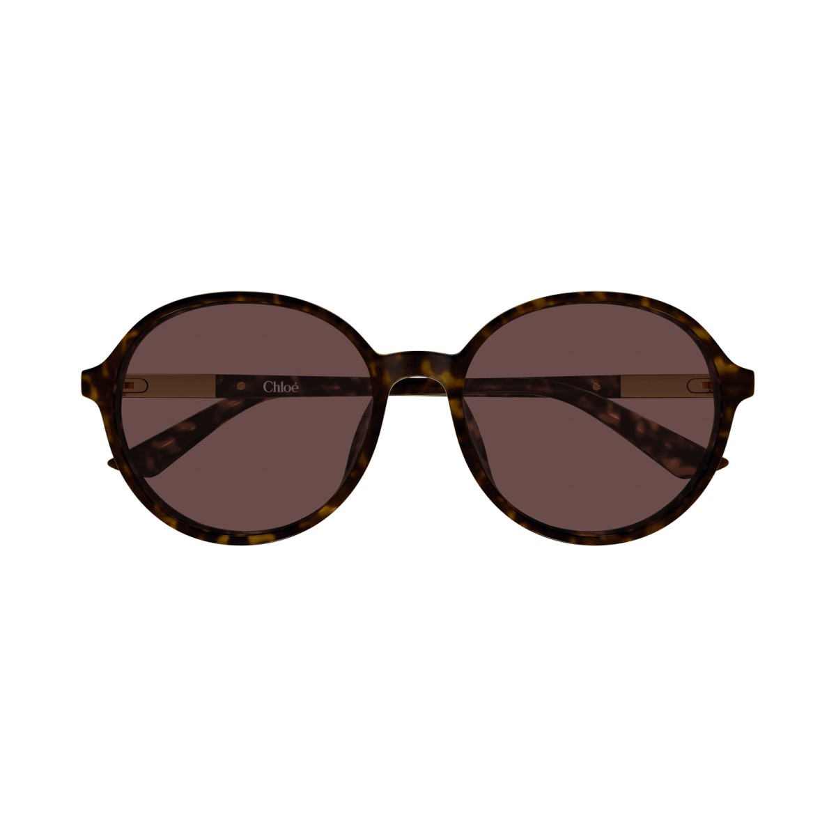 CHLOE CH0365SK 002 | Sunglasses | Vytria Eyewear