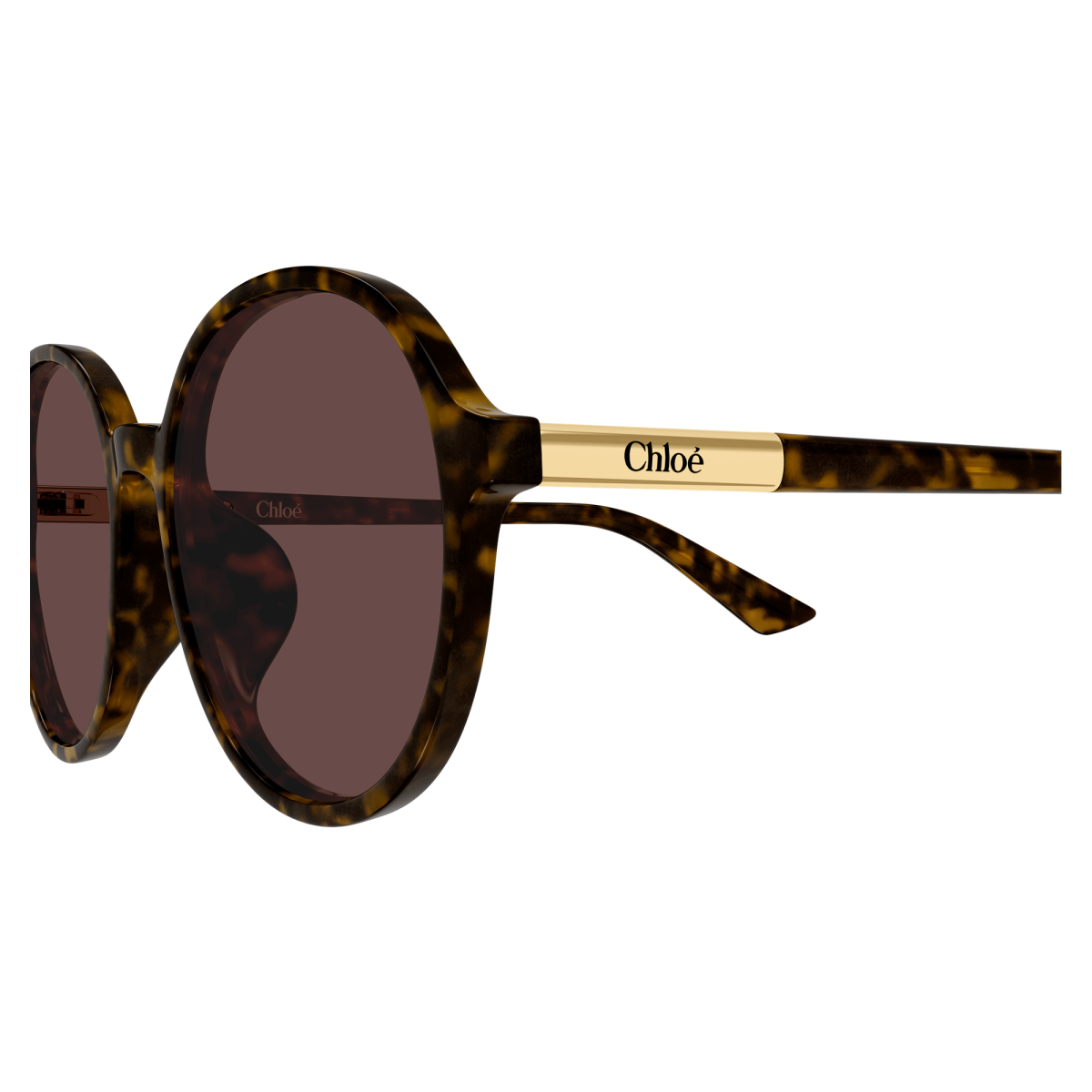 CHLOE CH0365SK 002 | Sunglasses | Vytria Eyewear
