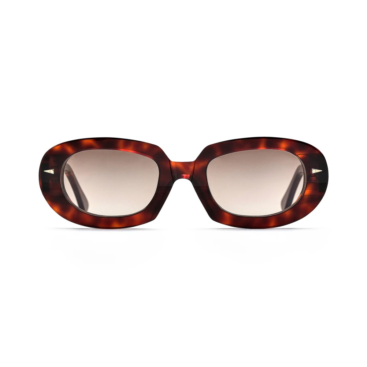 AHLEM LOMBARDS LIGHT TURTLE SUN | Sunglasses | Vytria Eyewear
