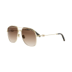 DIOR PETIT CD A1U B0F1 | Sunglasses | Vytria Eyewear