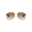 DIOR PETIT CD A1U B0F1 | Sunglasses | Vytria Eyewear