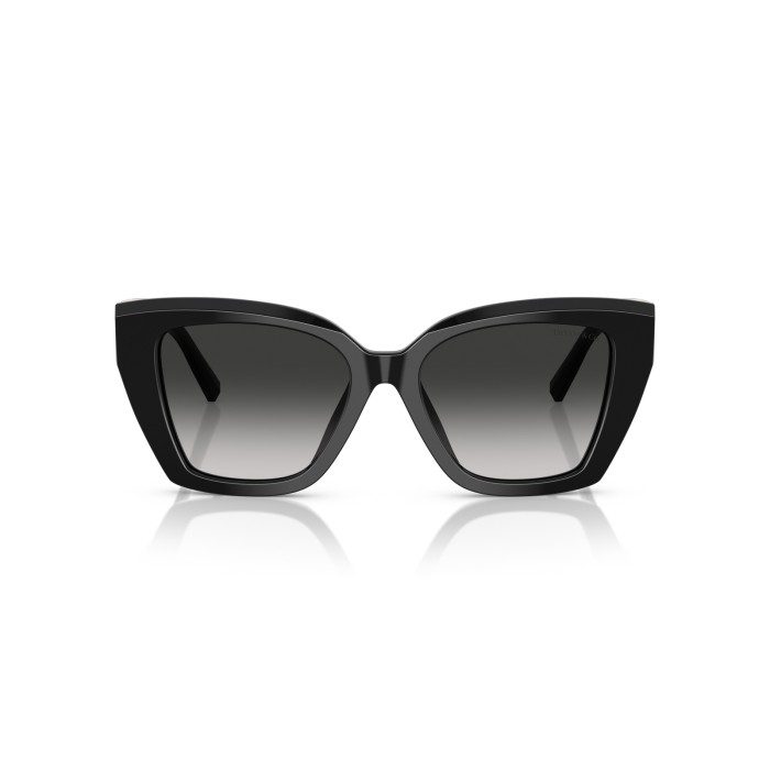 TIFFANY & CO. TF4239U 80013C