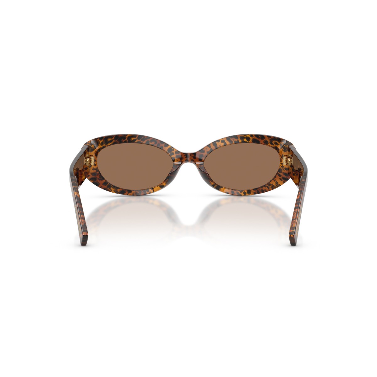 DOLCE GABBANA DG4537 347073 | Sunglasses | Vytria Eyewear