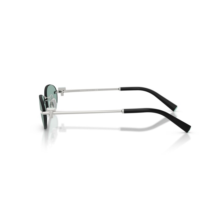 TIFFANY & CO. TF3119D 600165