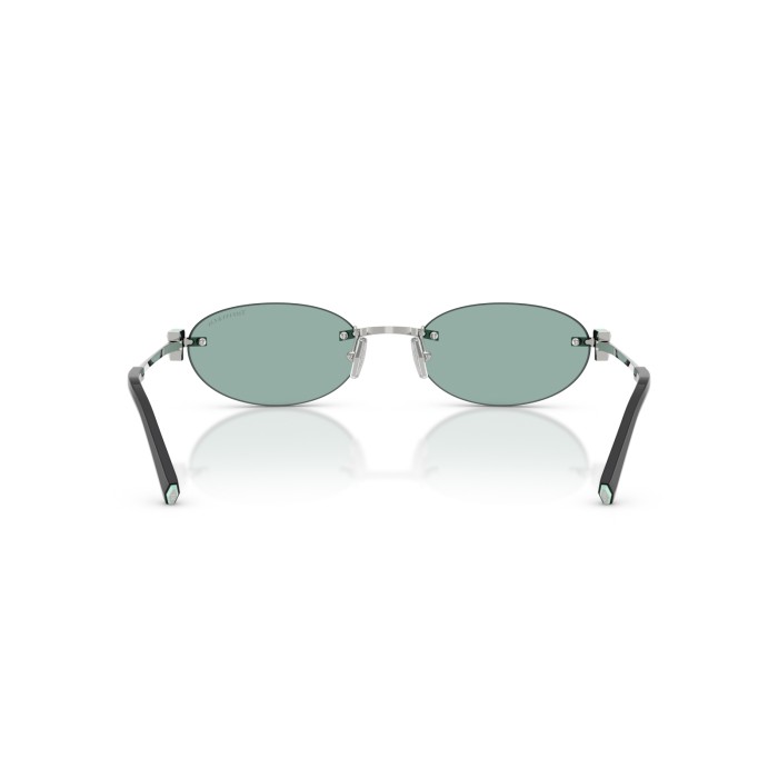 TIFFANY & CO. TF3119D 600165