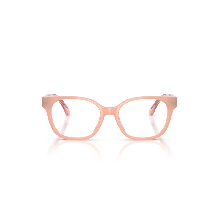 EMPORIO ARMANI EK3014U 6387