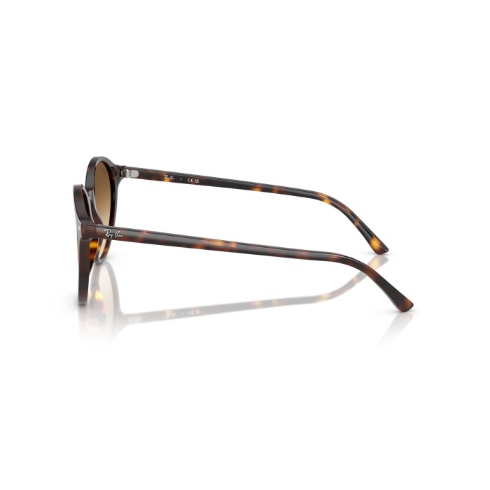 Ray Ban RB2230 90251