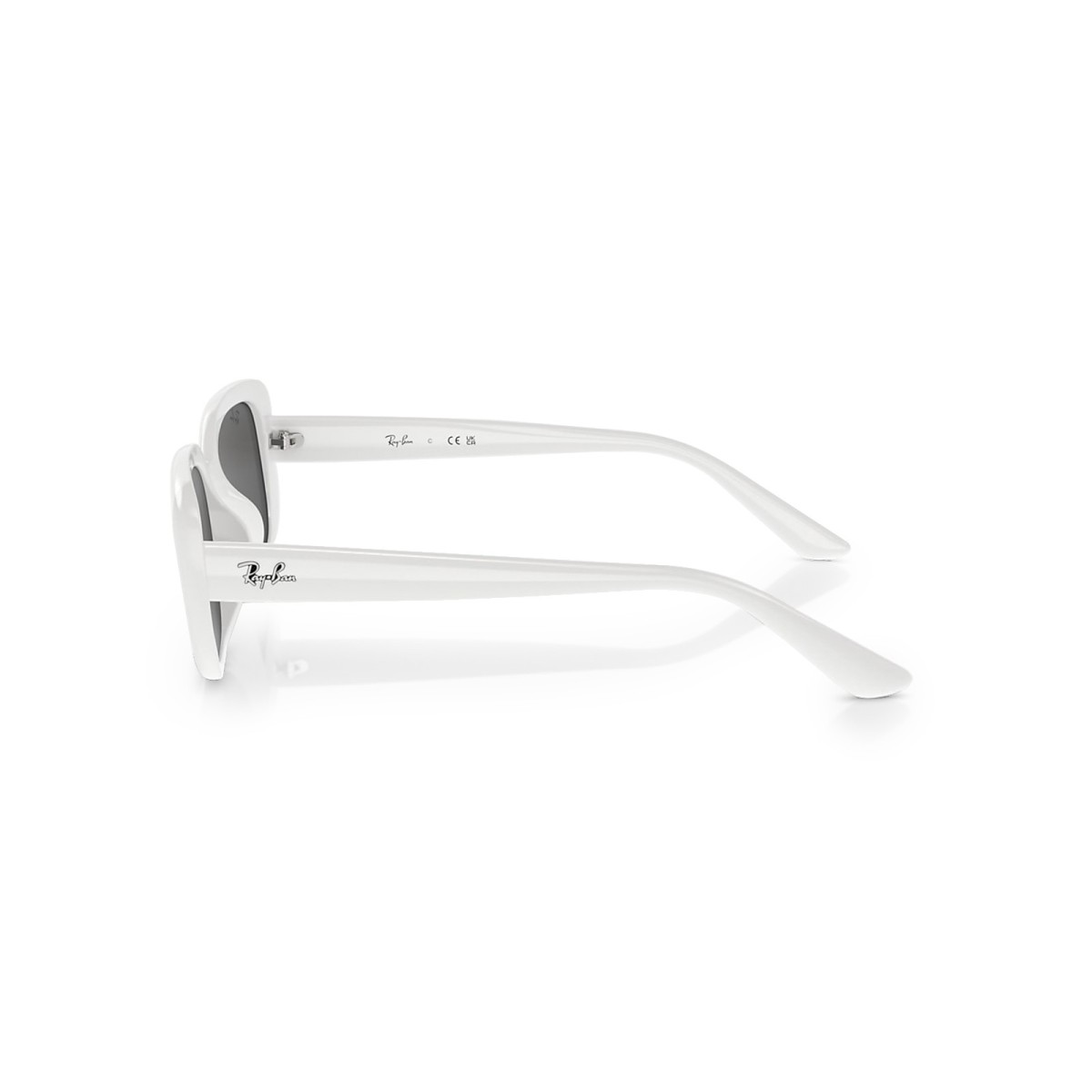 Ray Ban Bio-Based RB4421D 677287 | Gafas de Sol Ovaladas