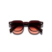 MOSCOT DOLT SUN BURGUNDY CABERNET