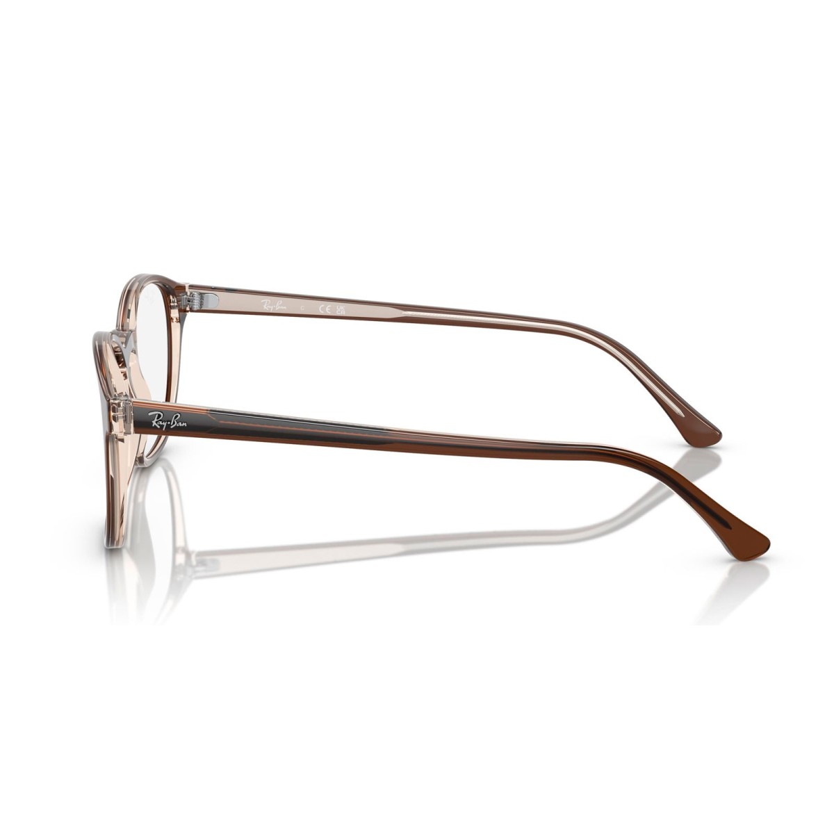 Ray Ban RB5417 8365 | Monturas Redondas | Vytria Eyewear