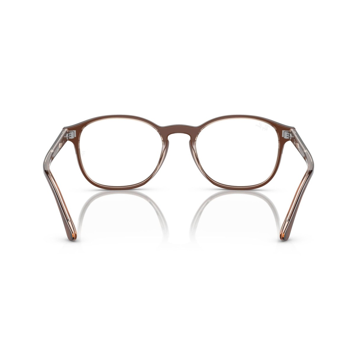 Ray Ban RB5417 8365  | Round Optical | Vytria Eyewear