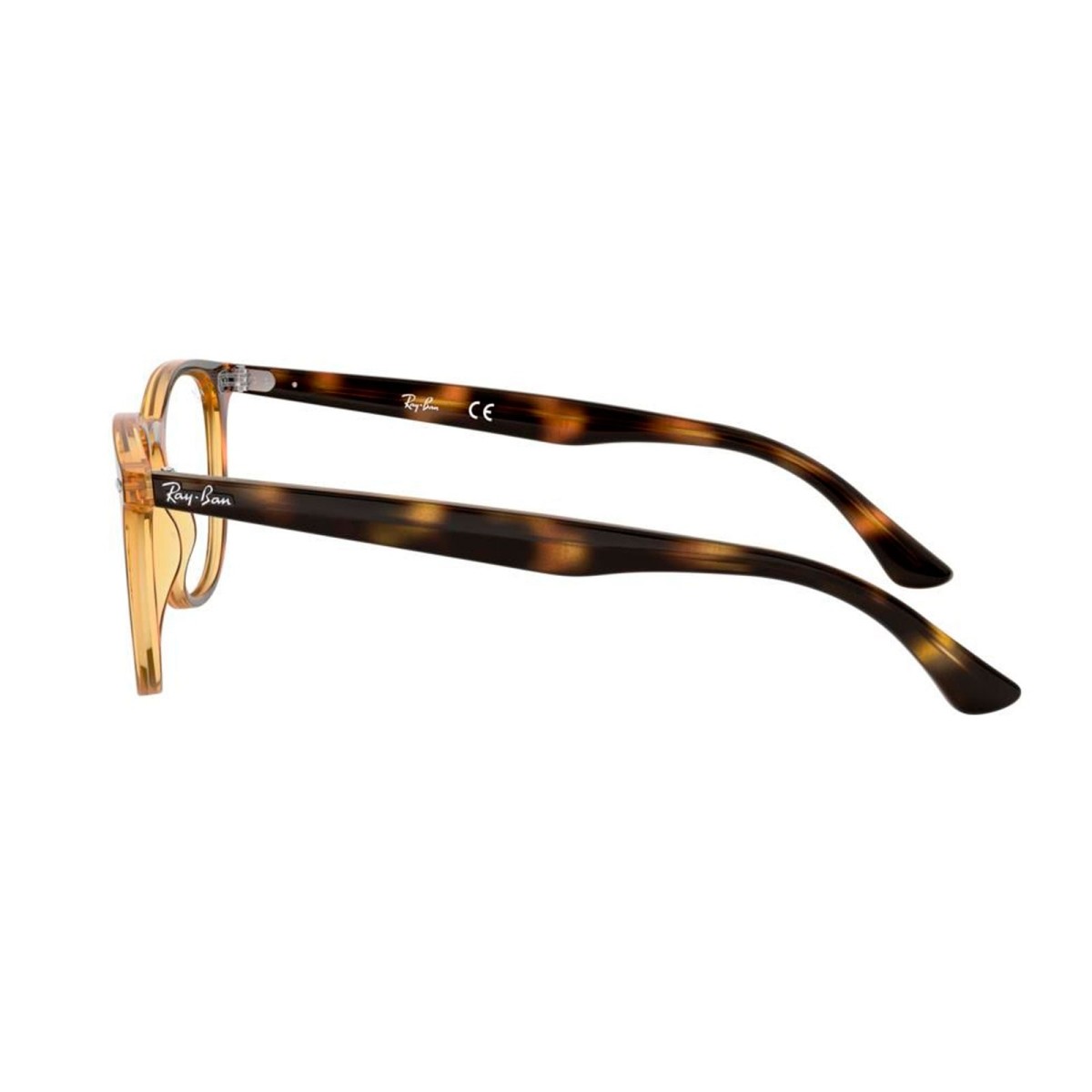 Ray Ban RB7159 2012 | Monturas Redondas | Vytria 