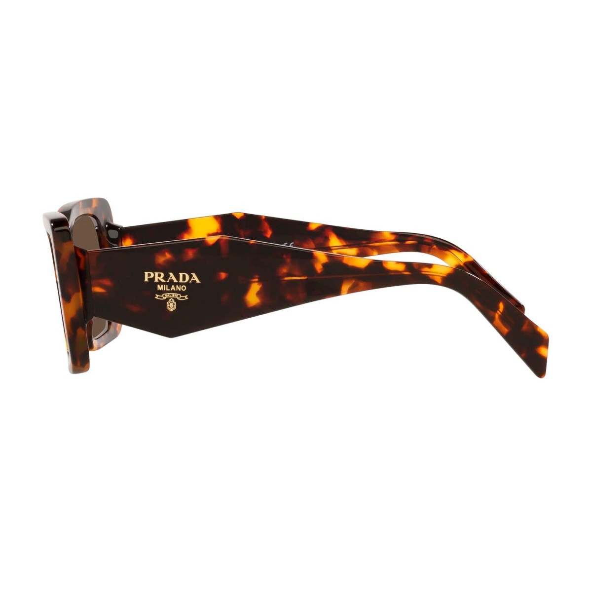 Prada PR 08YS 01V98C1 | Gafas Sol Cat-Eye | Vytria Eyewear