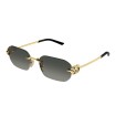 GUCCI GG2228S 002