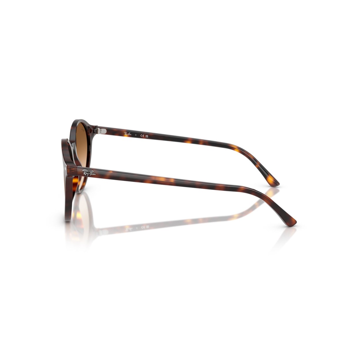 Ray Ban Bernard RB2230 90251 | Gafas de Sol Redondas | Vytria 