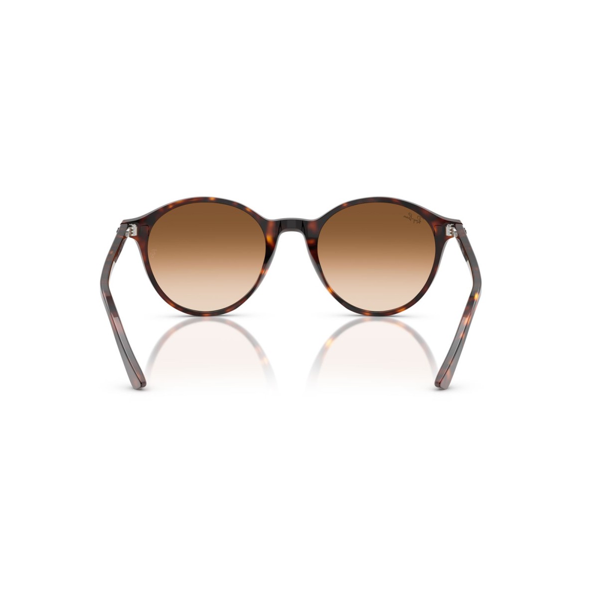 Ray Ban Bernard RB2230 90251 | Round Sunglasses | Vytria 