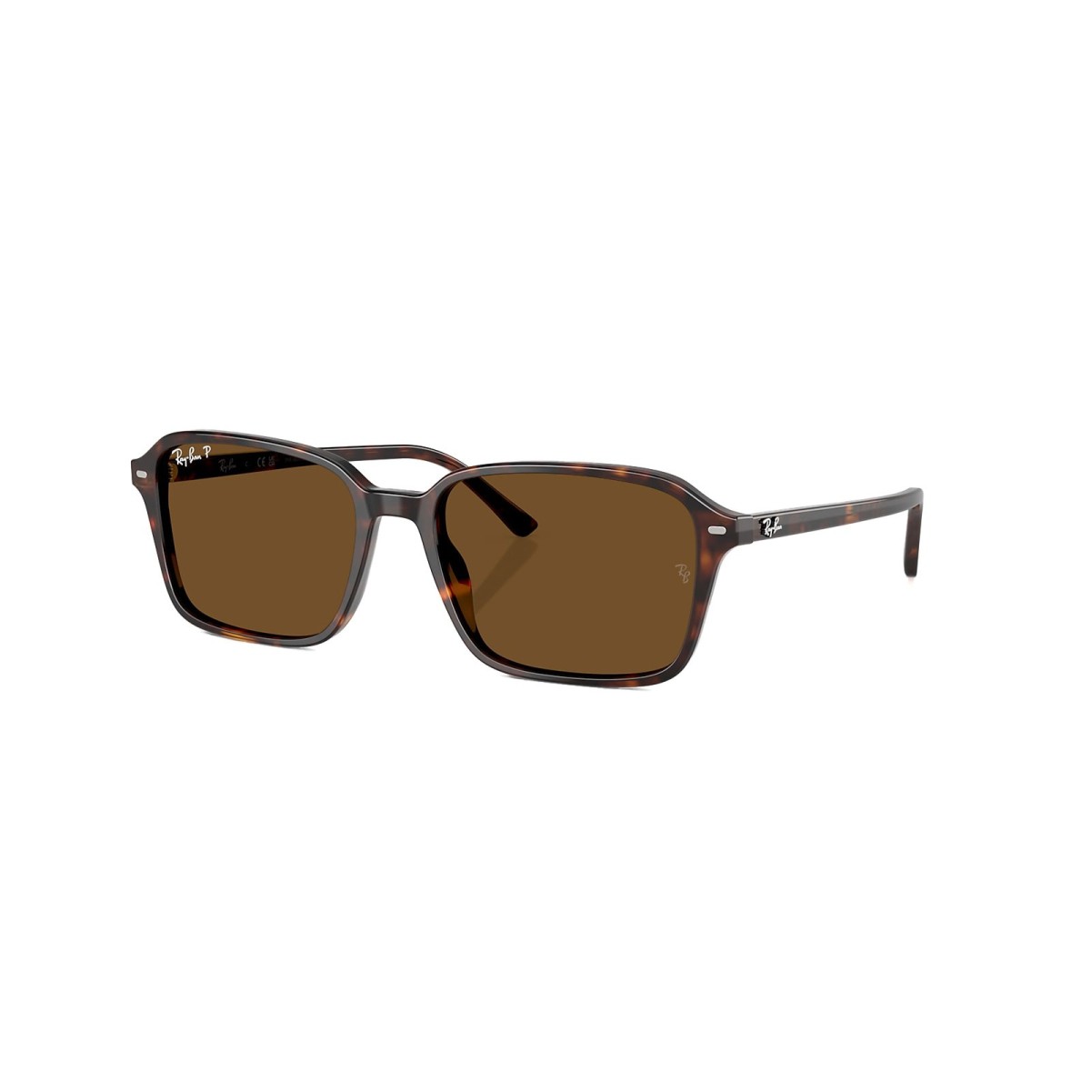 RayBan Raimond RB2231 90257