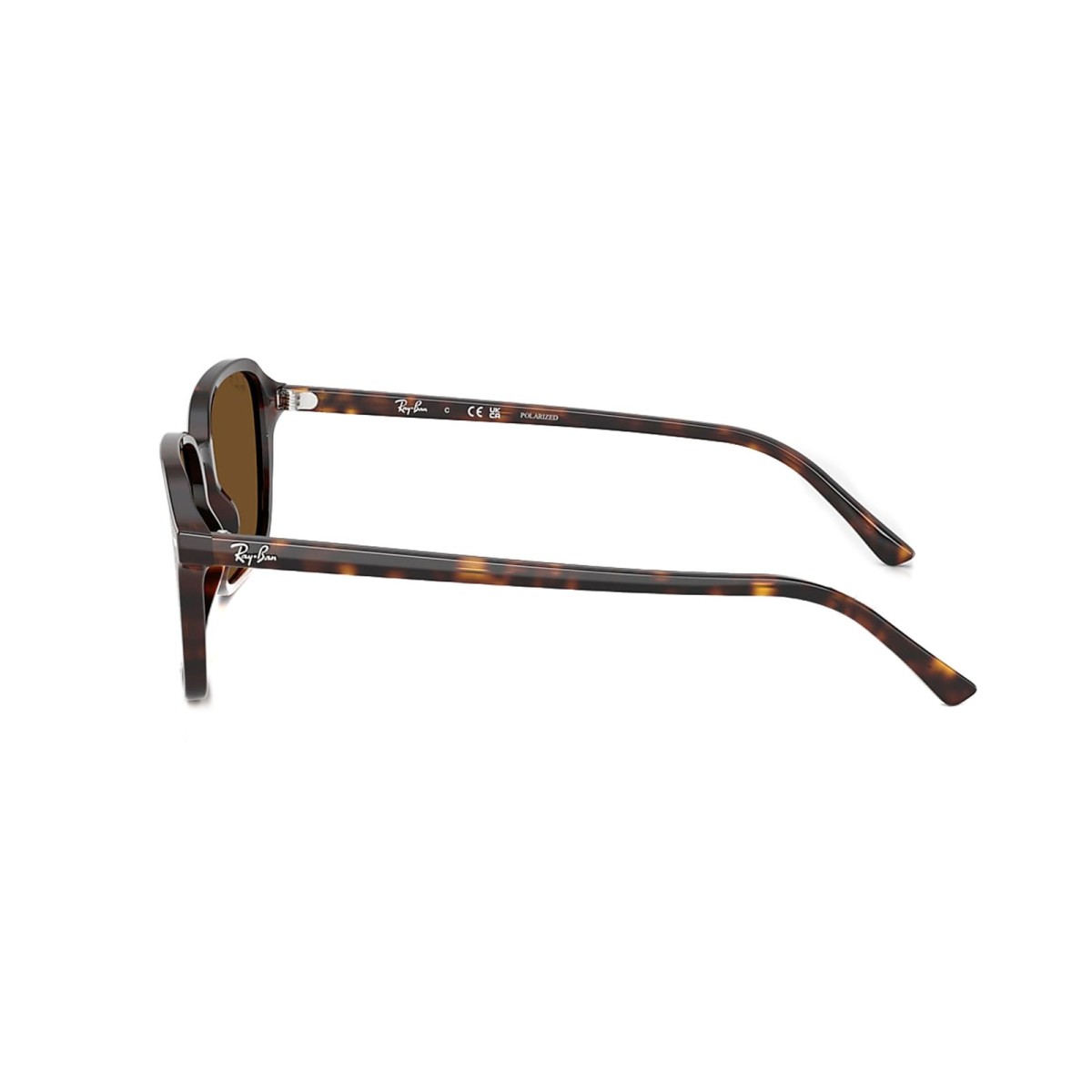 Ray-Ban Raimond RB2231 90257 Sunglasses | Vytria