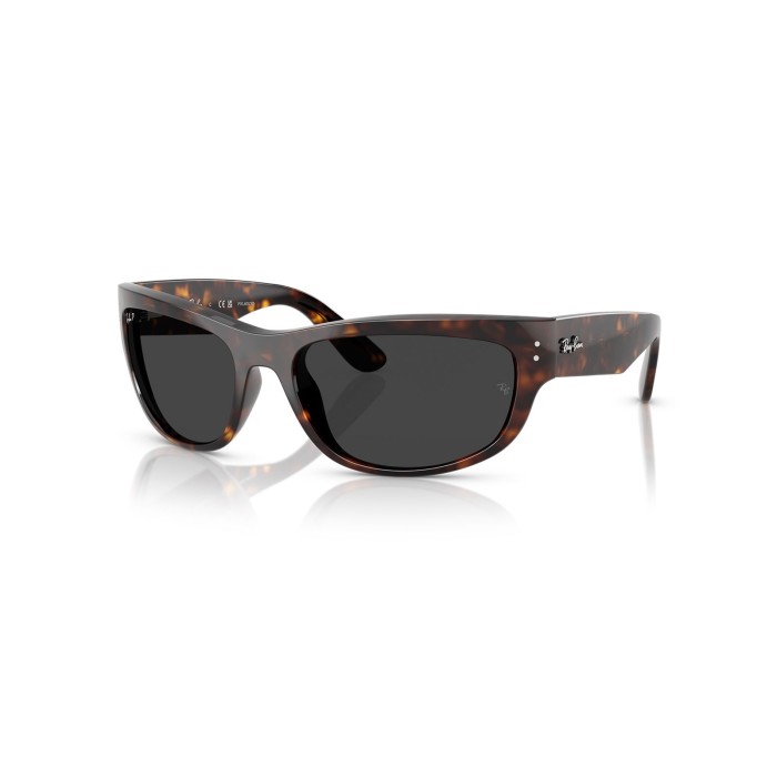 RayBan Mega Balorama RB2289