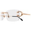 CARTIER CT0344O 005 | Eyeglasses | Vytria Eyewear