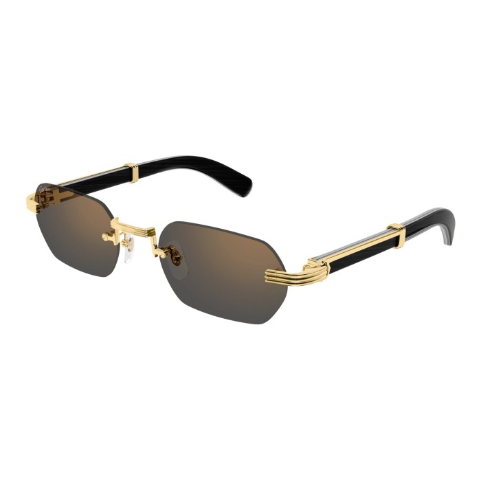 Première de Cartier CT0362S 007