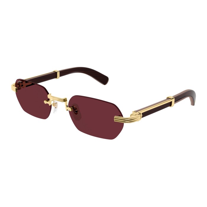 Première de Cartier CT0362S 008