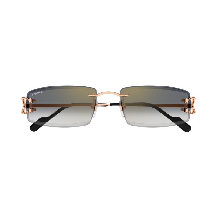 Cartier C Décor CT0465S 009