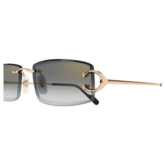 Cartier C Décor CT0465S 009