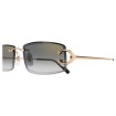 CARTIER CT0465S 009 | Sunglasses | Vytria Eyewear