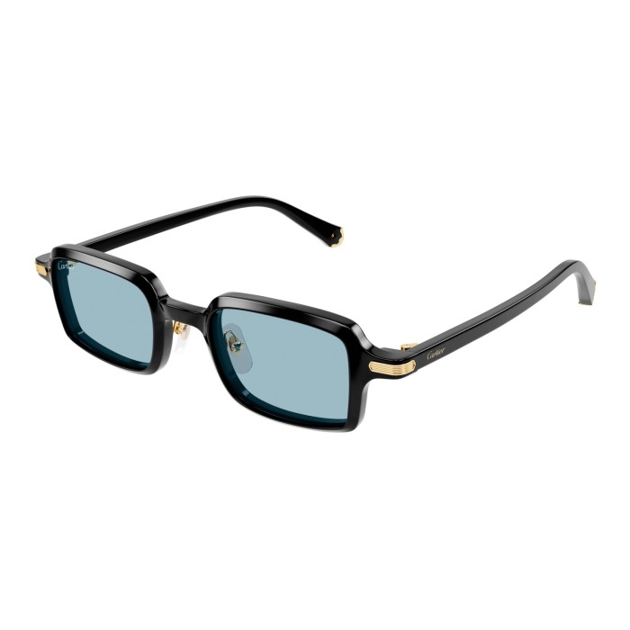 CARTIER CT0539S 006 | Sunglasses | Vytria Eyewear
