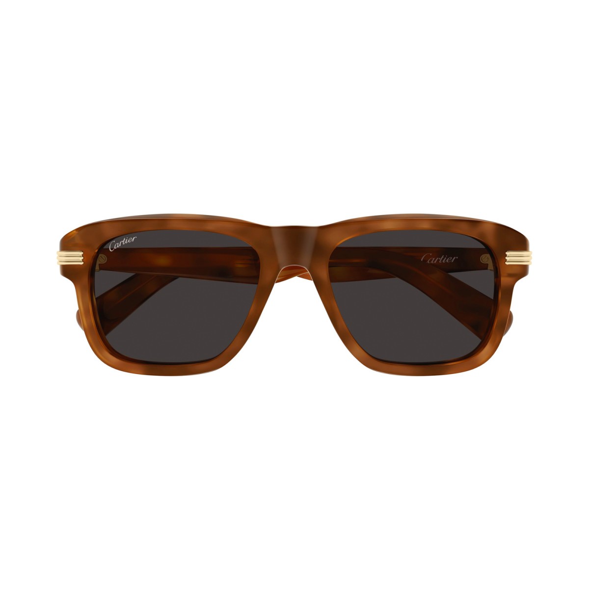 CARTIER CT0657S 004 | Sunglasses | Vytria Eyewear