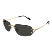 Cartier C Décor CT0663S 001