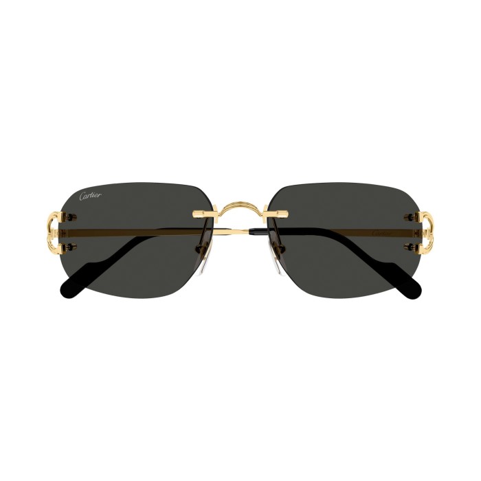 Cartier C Décor CT0663S 001