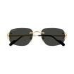 CARTIER CT0663S 001 | Sunglasses | Vytria Eyewear