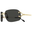 CARTIER CT0663S 001 | Sunglasses | Vytria Eyewear
