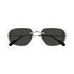 CARTIER CT0663S 002 | Sunglasses | Vytria Eyewear