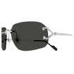 CARTIER CT0663S 002 | Sunglasses | Vytria Eyewear