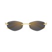 CARTIER CT0675S 001 | Sunglasses | Vytria Eyewear