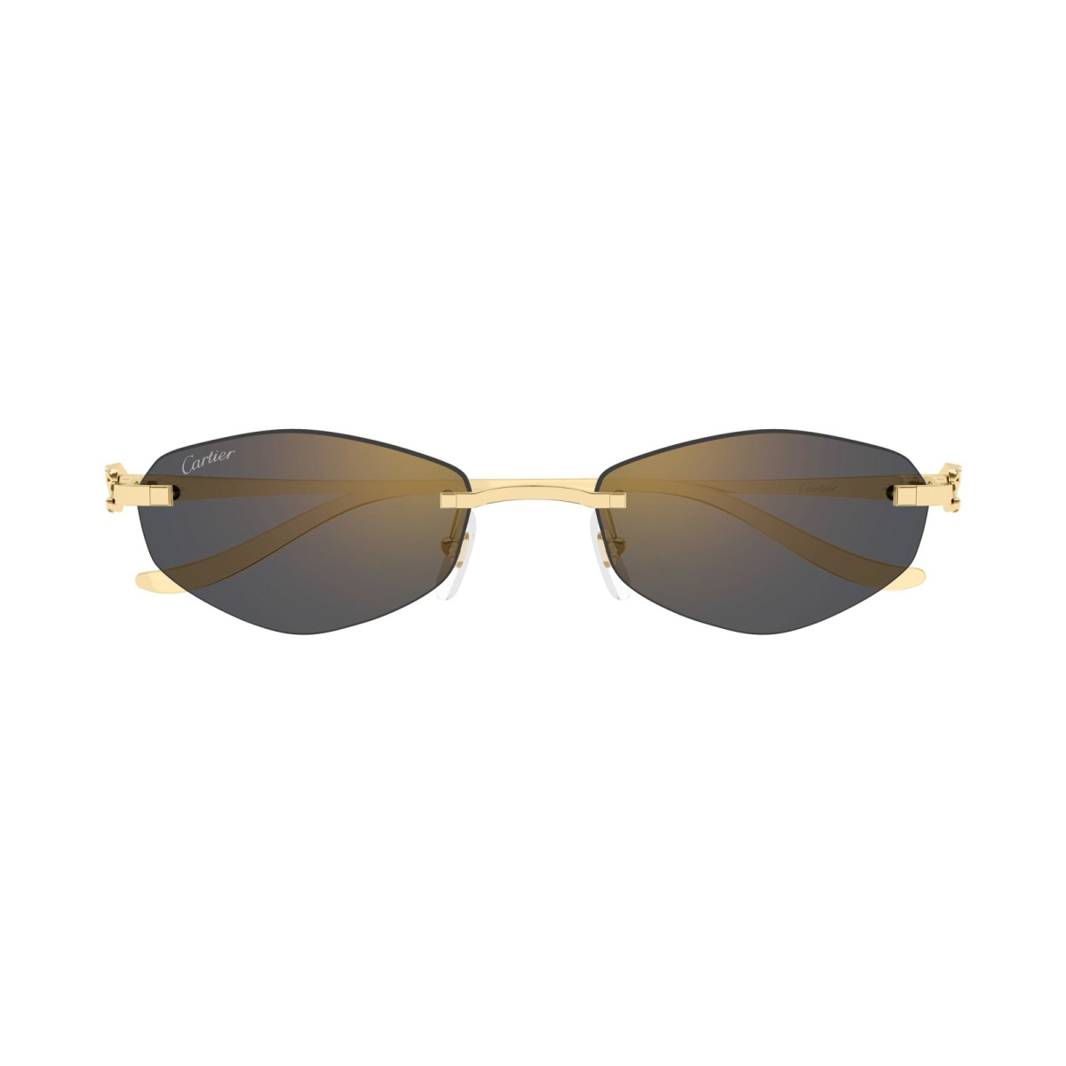 CARTIER CT0675S 001 | Sunglasses | Vytria Eyewear