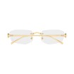 CARTIER CT0683O 001 | Eyeglasses | Vytria Eyewear