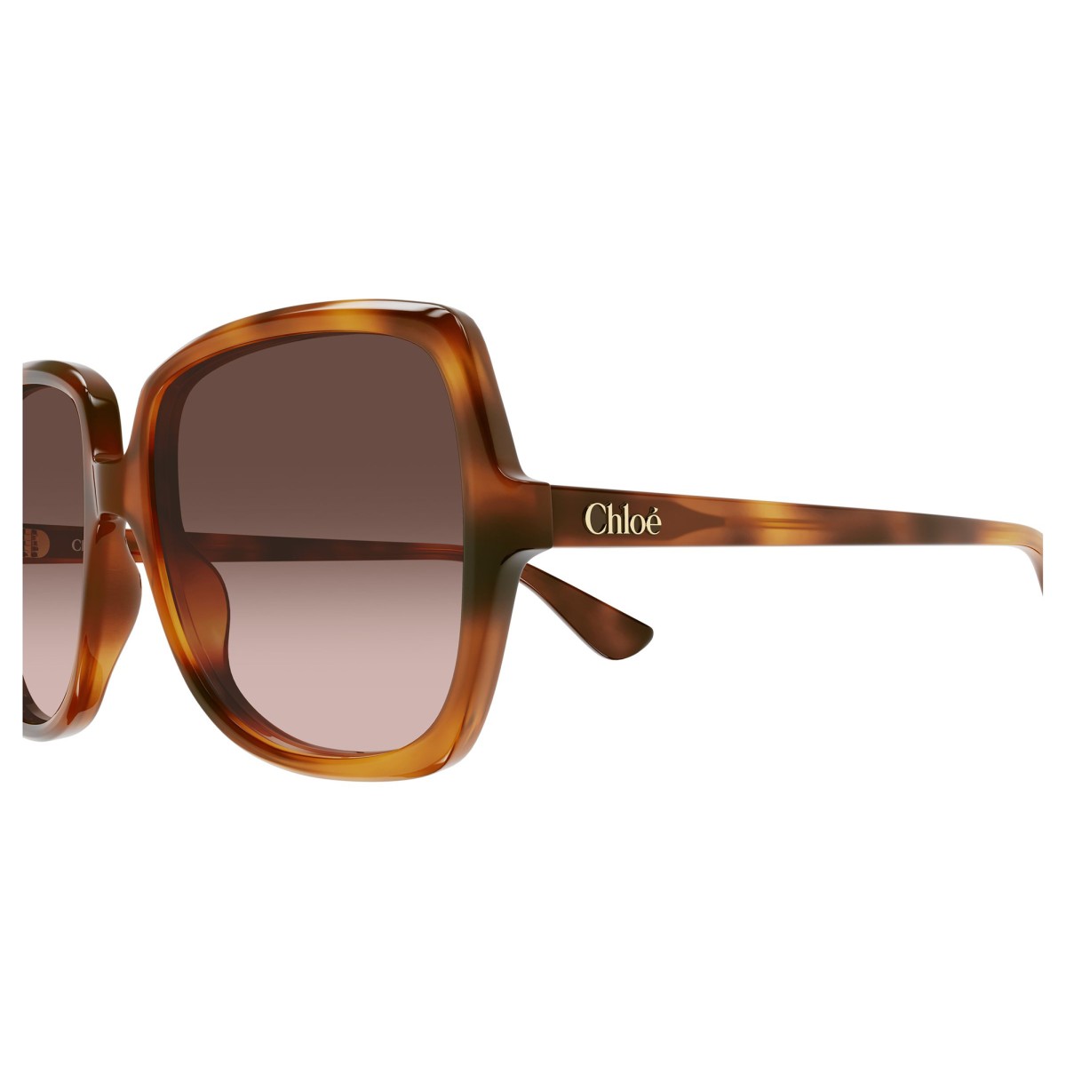 CHLOE CH0388S 002 | Sunglasses | Vytria Eyewear