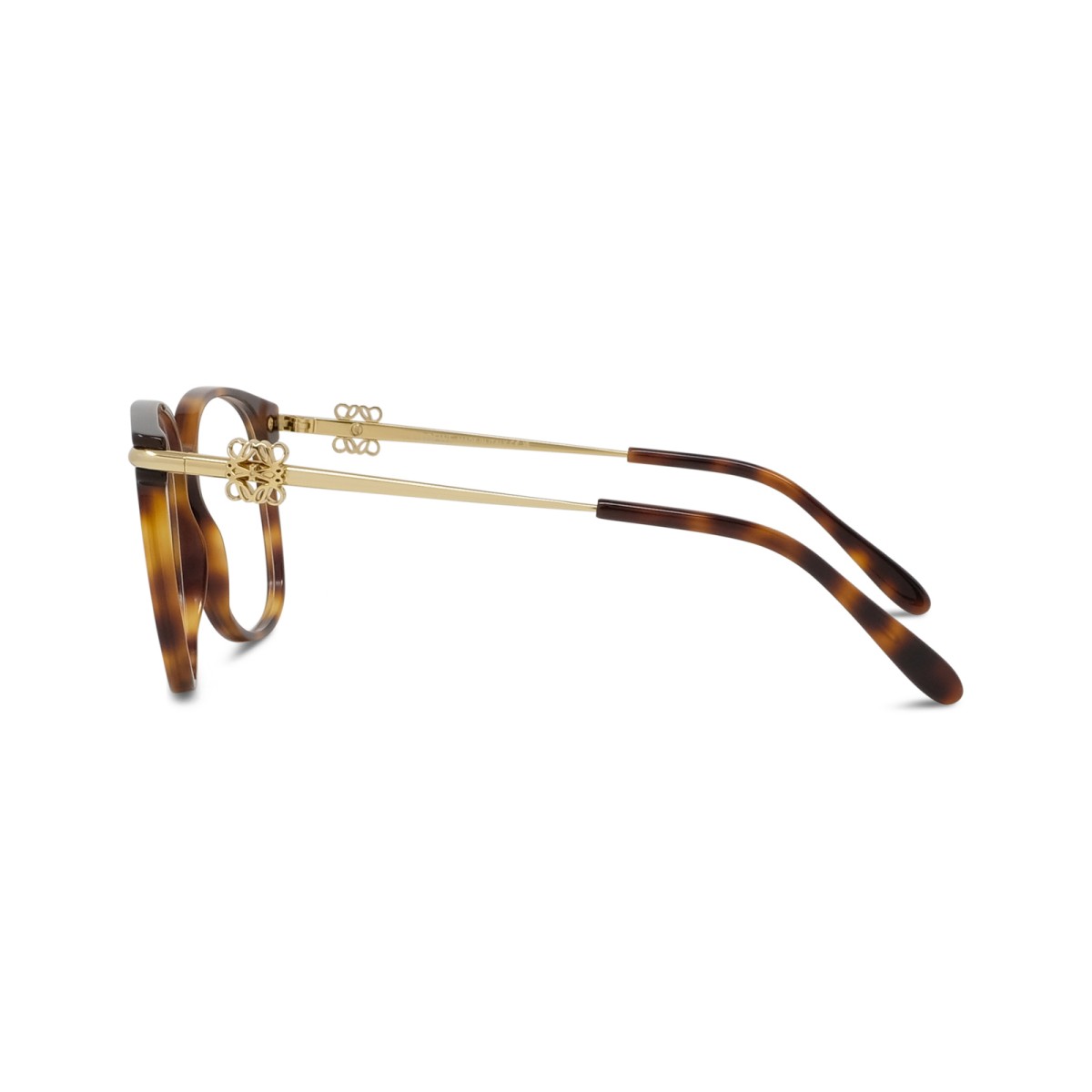 LOEWE LW50122I 052 | Monturas | Vytria Eyewear