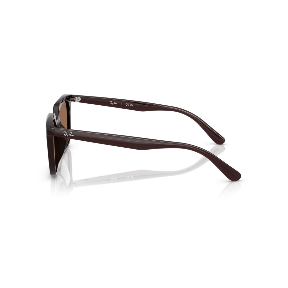 Ray-Ban Sunglasses RB4439D 623173 | New Collection | Vytria