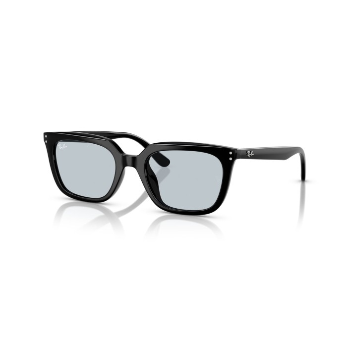 RayBan Sunglasses RB4439D 90172