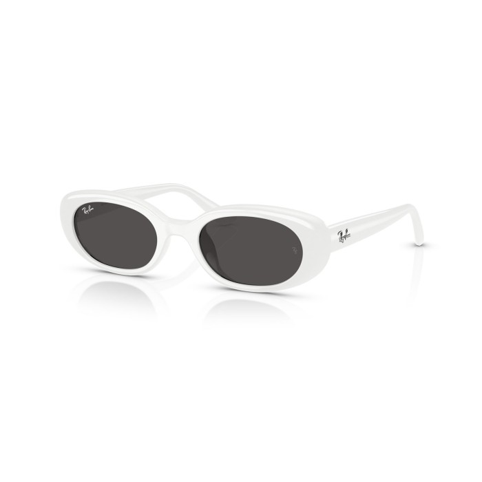 RayBan Sunglasses RB4441D 677287