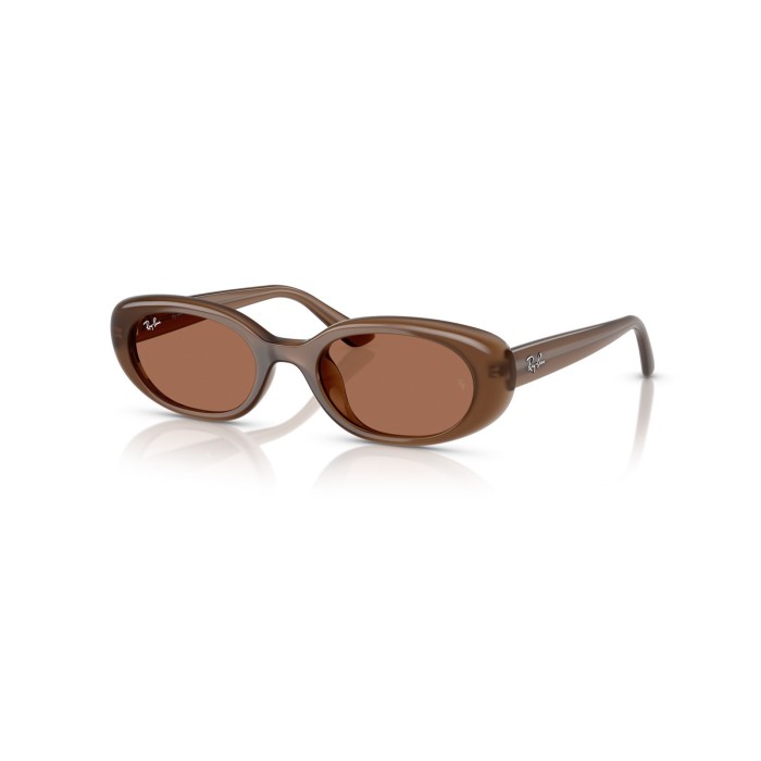 RayBan Sunglasses RB4441D 667973