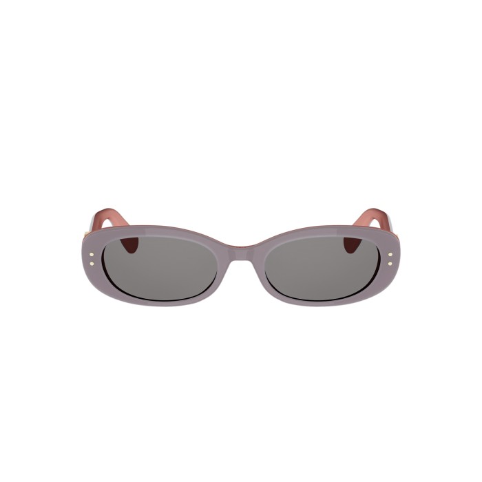 Dior Oblique B1I