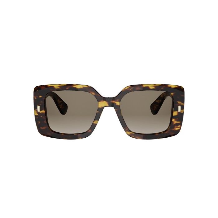Dior Initials S2I