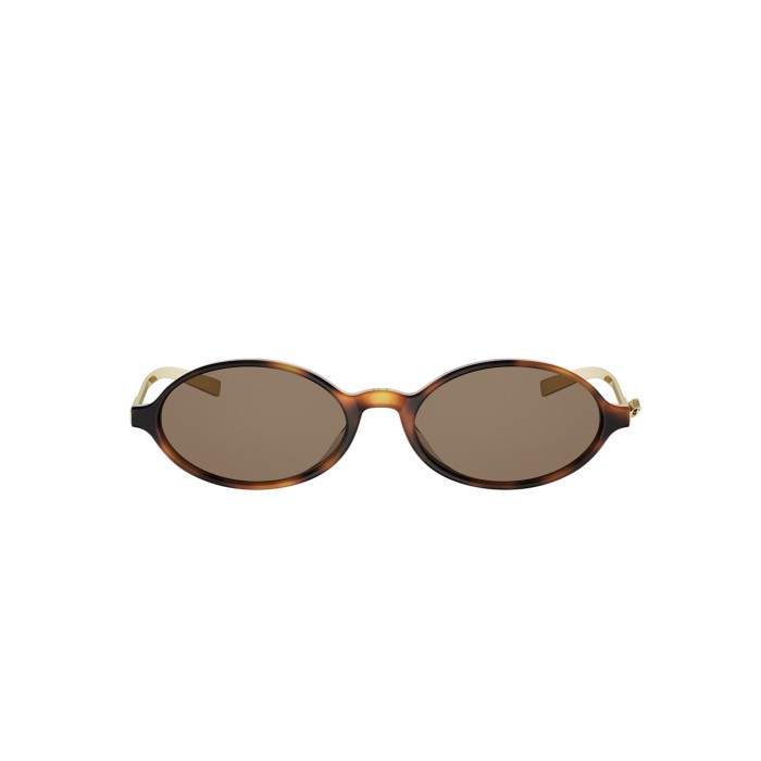 Dior Bow R2I