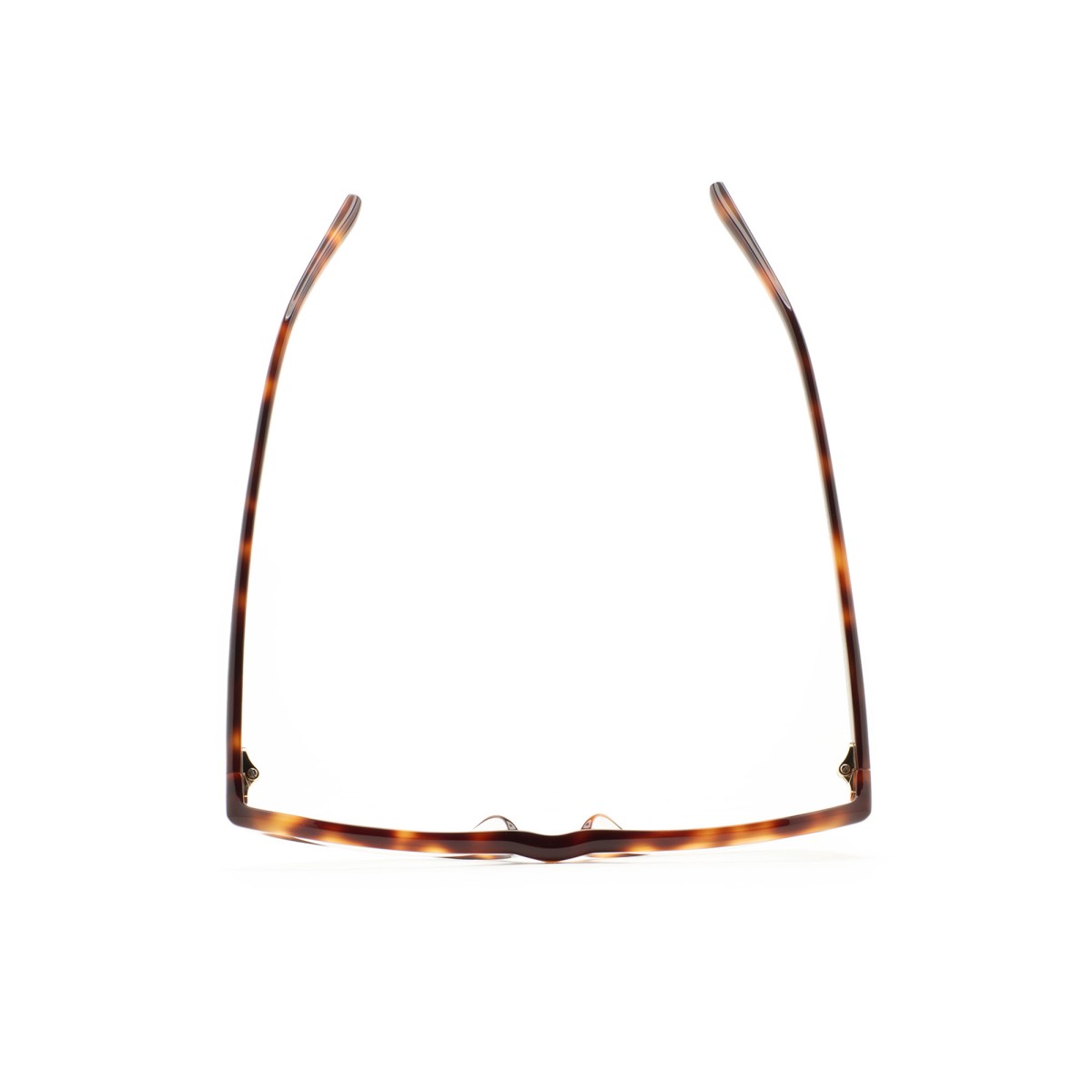 KALEOS WARDLEY 005 | Monturas | Vytria Eyewear